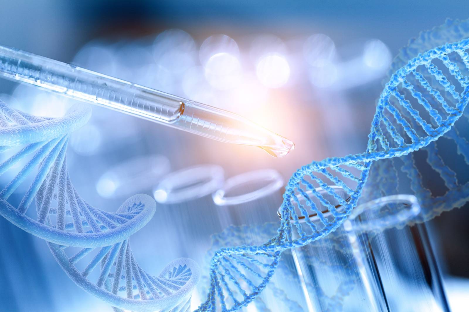 Laboratoire d’analyses à Marseille accompagné par Préiso pour la mise en place d’un système de management qualité conforme aux normes ISO 17025 et ISO 15189, assurant fiabilité, traçabilité et amélioration continue des processus.