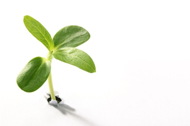 Formation à la norme ISO 14001