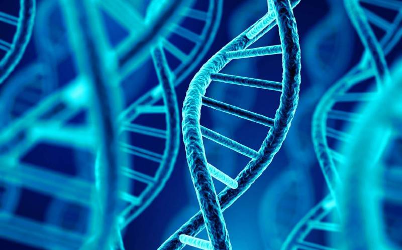 Focus sur le nouveau guide d’accréditation en Génétique SH GTA 07 rev00 publié par le Cofrac