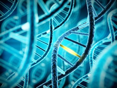 Notre zone d'activité pour ce service Certification pour dispositifs médicaux